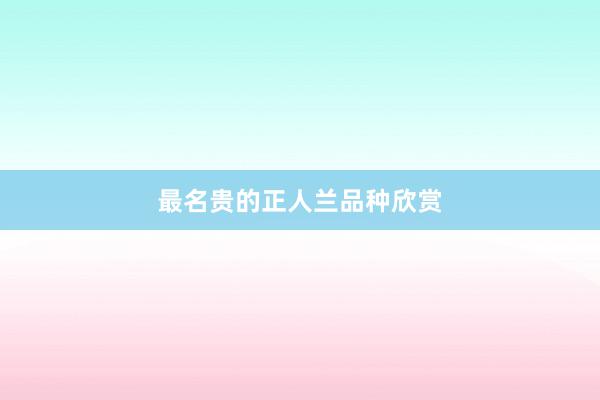 最名贵的正人兰品种欣赏