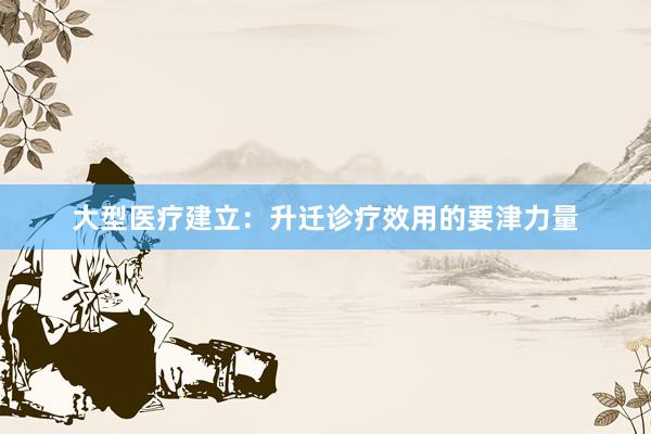 大型医疗建立：升迁诊疗效用的要津力量