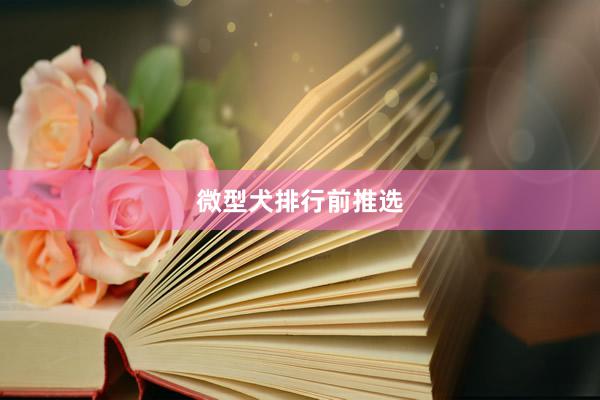 微型犬排行前推选