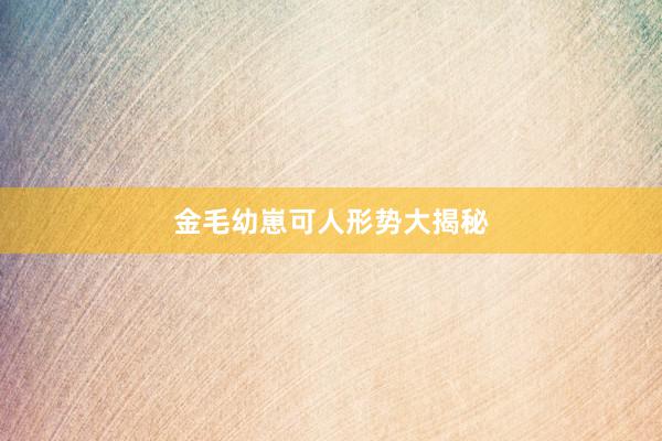 金毛幼崽可人形势大揭秘