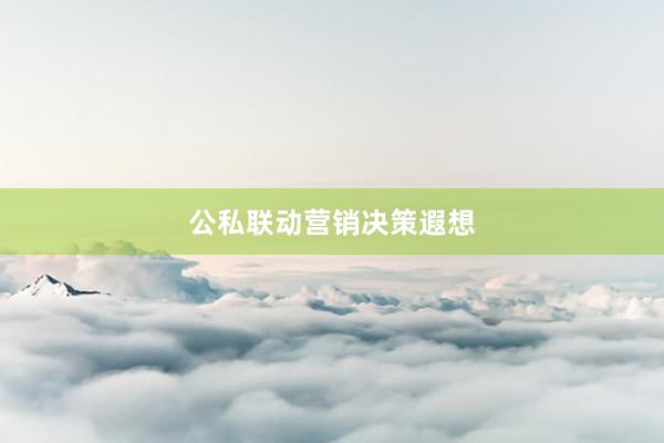公私联动营销决策遐想